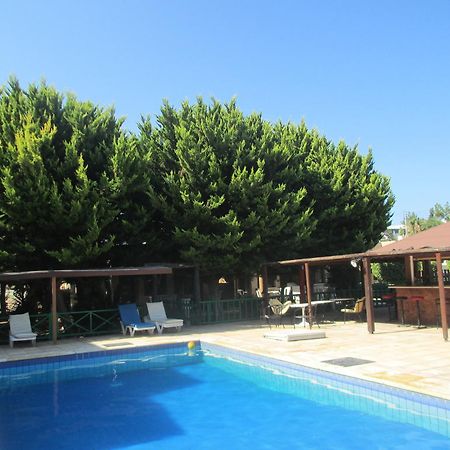 Anastasia Holiday Apartments Klorakas Eksteriør bilde